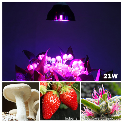 E27/E26 21W Par Led Grow Light Multi-Spectrum Hydroponics Plants Growing Lighting Indoor Graden Light